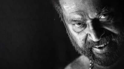 യൂറോപ്പില്‍ ഒരു മമ്മൂട്ടി ചിത്രം എത്ര നേടും? എല്ലാ ധാരണകളെയും തിരുത്തി 'ഭ്രമയുഗം'; ഒഫിഷ്യല്‍ കളക്ഷന്‍