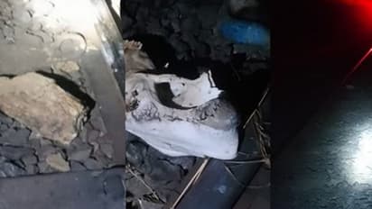 ஷாக்கிங் நியூஸ்! மாட்டின் தலையை வைத்து ரயிலை கவிழ்க்க சதி! பயங்கர சத்தத்துடன் மோதி நின்றதால் அலறிய பயணிகள்.!