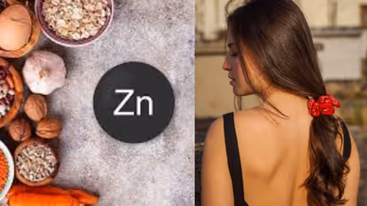 തലമുടി വളരാന് കഴിക്കാം സിങ്ക് അടങ്ങിയ ഈ ആറ് ഭക്ഷണങ്ങള്...