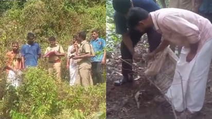 കാട്ടുപോത്തിനെ വെടിവെച്ച് കൊന്ന് ഇറച്ചി കടത്തി, 4പേര് അറസ്റ്റിൽ, കൂട്ടു പ്രതികള്ക്കായി അന്വേഷണം