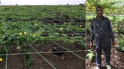 An Ingenious Farming Method Developed by a Gujarati Farmer that Saves Costs while Increasing Production