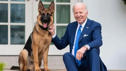 US First Dog 'Commander' exits White House, now with Joe Biden's relatives