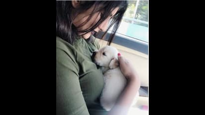 RIP ಡೂಡು; ಪ್ರೀತಿಯ ಶ್ವಾನ ಕಳೆದುಕೊಂಡ ದಿವ್ಯಾ ಸುರೇಶ್