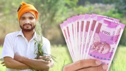 pm kisan yojna 5.jpg