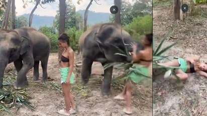 ಪೋಸ್ ಕೊಡಲು ಹೋದ ಯುವತಿ ಎತ್ತೆಸೆದ ಆನೆ, ನಿಂಗಿದು ಬೇಕಿತ್ತಾ ಎಂದ ನೆಟ್ಟಿಗರು?