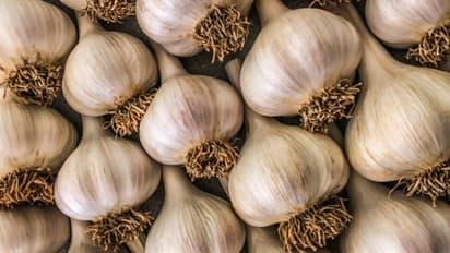 രാവിലെ വെറും വയറ്റില് വെളുത്തുള്ളി ഇങ്ങനെ കഴിക്കൂ, ഗുണമുണ്ട്...