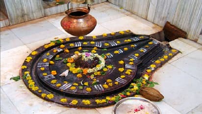 Maha Shivratri 2024: Know where the 12 Jyotirlingas are in India