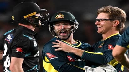 Australia clinches T20 Series clean sweep with commanding win against New Zealand in rain-hit encounter