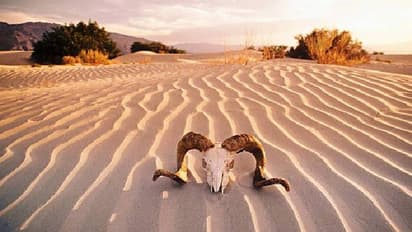 ഇതൊന്നുമല്ല മക്കളേ ചൂട്, ഇതാ ലോകത്തിലെ ഏറ്റവും ചൂട് കൂടിയ സ്ഥലം