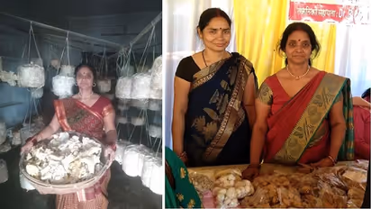 Remarkable journey of Rekha Devi, a homemaker from Bihar, who established a mushroom farming business