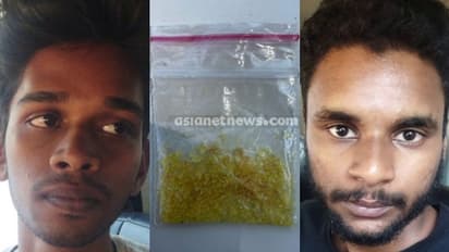 തൃശ്ശൂരിൽ വൻ രാസലഹരി-കഞ്ചാവ് വേട്ട: രണ്ടിടത്തായി നാല് യുവാക്കൾ പിടിയിൽ, ഉൽപ്പന്നങ്ങൾക്ക് കോടികളുടെ മൂല്യം