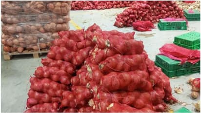 പൊന്നും വിലക്കിടെ പൂഴ്ത്തിവെപ്പും; കൂടിയ വിലയ്ക്ക് മറിച്ച് വിൽക്കാൻ ശ്രമം, പിടിച്ചെടുത്തത് എട്ട് ടൺ സവാള