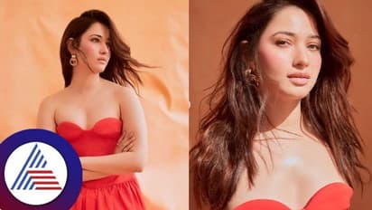 తమన్నా హెయిర్ సీక్రెట్ ఏంటో తెలుసా?