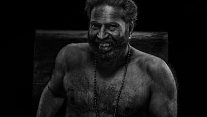 മമ്മൂട്ടിയുടെ ഭ്രമയുഗത്തിന് ഇനിയെത്ര ദൂരം?, കളക്ഷൻ കണക്കുകള് സൂചിപ്പിക്കുന്നത്