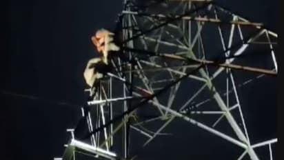 'സ്നേഹിക്കുന്ന പെൺകുട്ടിയെ സ്ഥലത്ത് എത്തിക്കണം', വൈദ്യുതി ടവറിൽ കയറി ആത്മഹത്യാ ഭീഷണി