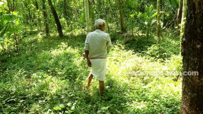 ഗിഫ്റ്റ് സിറ്റിക്ക് സ്ഥലമേറ്റെടുപ്പ്: കൃഷി കുറഞ്ഞു, കാട് കയറി വന്യജീവി ആക്രമണം കൂടി; താമസം മാറി നാട്ടുകാര്