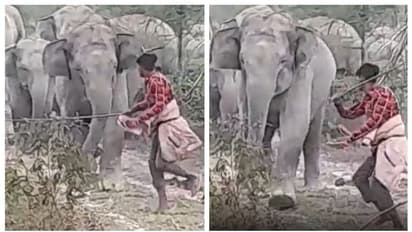 വെറും ഭ്രാന്ത്, അല്ലാതെന്ത്? ആനക്കൂട്ടത്തെ ചുള്ളിക്കമ്പുമായി ആക്രമിക്കുന്ന യുവാവിന്റെ വീഡിയോ വൈറല് !