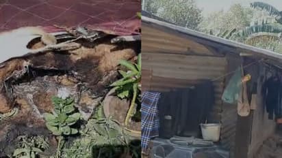 ഉപേക്ഷിച്ച് പോകുമെന്ന് സംശയം; വർക്കലയിൽ ഉറങ്ങിക്കിടന്ന ഭാര്യയെ ഭർത്താവ് മണ്ണെണ്ണ ഒഴിച്ച് തീകൊളുത്തി, അറസ്റ്റ്