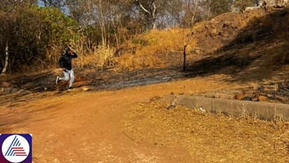 Bengaluru: Young woman allegedly molested by unknown assailant at Lalbagh, father shares his pic on X