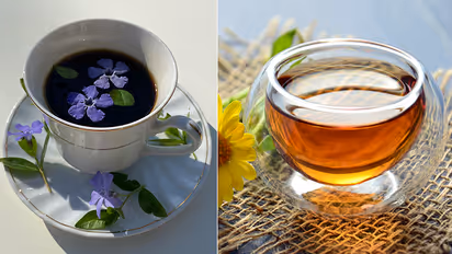 The benefits of Japanese Hojicha Green Tea work wonders for overall health