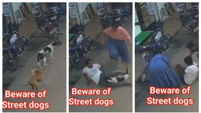 പുള്ളിക്കാരി സൂപ്പറാ...; പട്ടിയുടെ ആക്രമണത്തില്‍ നിന്നും യുവാവിനെ രക്ഷപ്പെടുത്തുന്ന സ്ത്രീയുടെ വീഡിയോ വൈറല്‍ !