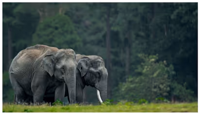 Jamnagar: Top 5 wildlife Sanctuaries & nature locations you must visit