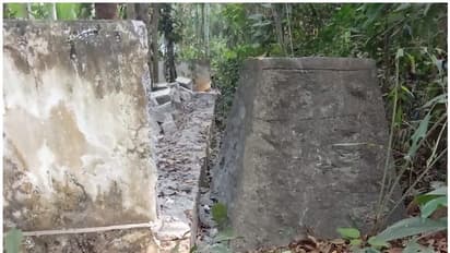 വനത്തിലെ പരിശോധനക്കിടെ അതാ ഒരു മതില്! അതും സർവേ കല്ലിന് മുകളിൽ, പിന്നെ നടന്ന കാര്യം പറയേണ്ടതില്ലല്ലോ...