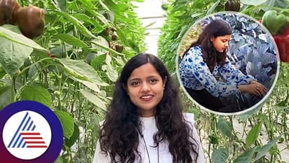 ಕೃಷಿ ಹಿನ್ನೆಲೆ ಇಲ್ಲ, ಸ್ವಂತ ಜಮೀನಿಲ್ಲ.. ಛಲ ಬಿಡದೆ ತರಕಾರಿ ಬೆಳೆದು ಲಾಭ ಗಳಿಸಿದ ಮಹಿಳೆ