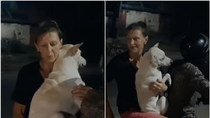 Kerala: Russian woman rescues stray dogs dipped in tar in Varkala