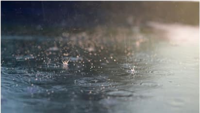 ഇനി മുതൽ മഴയ്ക്ക് സാധ്യത; മിക്ക പ്രദേശങ്ങളിലും മഴ ലഭിക്കുമെന്ന് റിപ്പോര്ട്ട്, അറിയിച്ച് സൗദി കാലാവസ്ഥ വകുപ്പ്