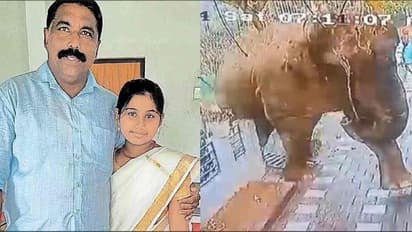 ರಾಜ್ಯದ ಪ್ರತಿಭಟನೆಗೆ ಬಗ್ಗಿದ ಸರ್ಕಾರ, ಆನೆ ದಾಳಿಯಿಂದ ಮೃತಪಟ್ಟ ವ್ಯಕ್ತಿಗೆ ಕೇರಳ ಕಾಂಗ್ರೆಸ್‌ನಿಂದ ಪರಿಹಾರ!