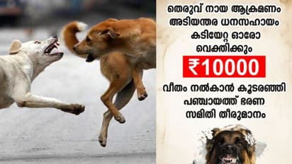 കൂടരഞ്ഞിയില് 8 പേരെ ആക്രമിച്ച തെരുവുനായക്ക് പേ വിഷബാധ; കടിയേറ്റവര്ക്ക് 10,000 രൂപ നല്കുമെന്ന് പഞ്ചായത്ത്