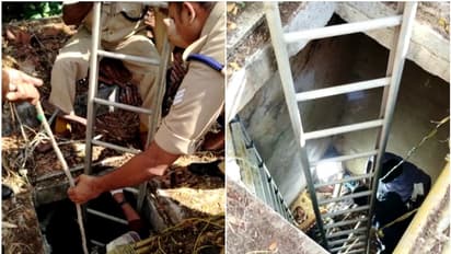 കാര്യവട്ടം ക്യാമ്പസിൽ കണ്ടെത്തിയ അസ്ഥികൂടം തലശ്ശേരി സ്വദേശിയുടേതെന്ന് സംശയം, സമീപം ഡ്രൈവിംഗ് ലൈസൻസ്