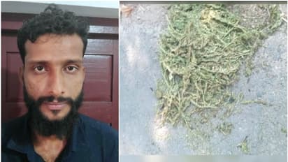 റോഡരികിൽ തീ, കത്തുന്നത് കഞ്ചാവ്, കാറിലെ ബോണറ്റിൽ നിന്ന് വലിച്ചെറിഞ്ഞത്; എല്ലാം കണ്ട് സിസിടിവി, അറസ്റ്റ്