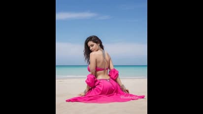 ಜೈಪುರದಲ್ಲಿ ಹಸೆಮಣೆ ಏರಲಿದ್ದಾರೆ ದರ್ಶನ್‌ ನಟನೆಯ 'ಅರ್ಜುನ್‌' ಚಿತ್ರದ ಹೀರೋಯಿನ್‌!