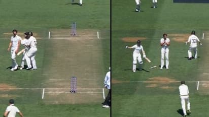 12 വര്ഷത്തെ ടെസ്റ്റ് കരിയറിനിടെ ഇതാദ്യം! ഓസീസിനെതിരെ പുറത്താവലില് നിരാശനായി കെയ്ന് വില്യംസണ് - വീഡിയോ