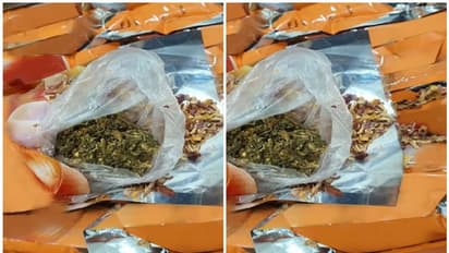 എത്തിയത് രണ്ട് കാര്ഗോ, പെട്ടിയില് സവാള, ഉദ്യോഗസ്ഥര്ക്ക് സംശയം; എക്സ്റേ പരിശോധനയിൽ കണ്ടെത്തിയത് കഞ്ചാവ്