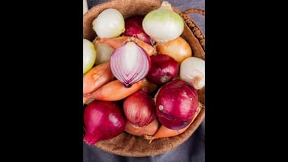 மழை காலத்தில் வெங்காயம் சீக்கிரம் அழுகாமல் இருக்க 'இப்படி' பண்ணுங்க!! 