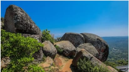 കൂറ്റൻ പാറയ്ക്കു ചുവട്ടിലായി 2 വലിയ പൊത്തുകൾ; 'മഞ്ഞുമ്മൽ' കണ്ട് ത്രില്ലടിച്ചിരിക്കുവാണേ ആമപ്പാറയ്ക്ക് വിട്ടാലോ