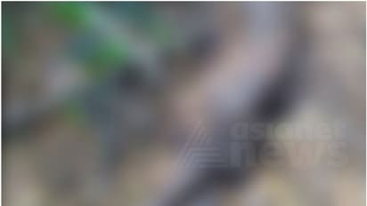 പമ്പയിൽ അജ്ഞാത മൃതദേഹം കണ്ടെത്തി; രണ്ട് മാസത്തിലധികം പഴക്കമുണ്ടെന്ന് പൊലീസ്, അന്വേഷണം