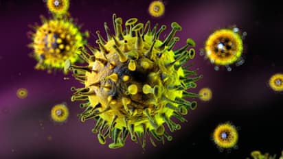 மூணு நாளில் உயிரைக் கொல்லும் ஆபத்தான வைரஸ்! சீன ஆய்வகத்தில் நடக்கும் விபரீத விளையாட்டு!