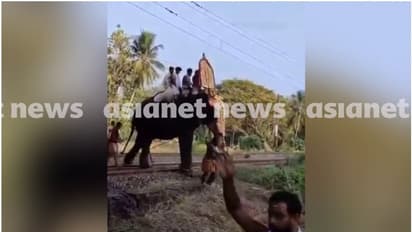 റെയിൽപാളത്തിലെ അഭ്യാസത്തിൽ നടപടി; ഉത്സവത്തിനെത്തിച്ച ആനയെ അപകടകരമായ രീതിയിൽ പാളം കടത്തിയ സംഭവത്തിൽ കേസ്