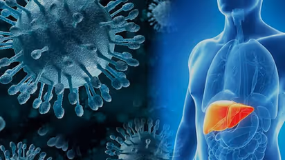 World Hepatitis Day 2024 :  ഹെപ്പറ്റൈറ്റിസ് പിടിപെടാതെ നോക്കാം ; എന്തൊക്കെ ശ്രദ്ധിക്കണം?