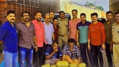 മലപ്പുറത്ത് വന് കഞ്ചാവ് വേട്ട; ലോറിയില് കടത്താന് ശ്രമിച്ചത് 110 കിലോ