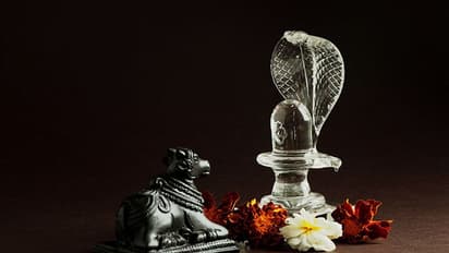 Mahashivratri 2024: ‘शिव’ योग में मनाई जाएगी महाशिवरात्रि, जानें पूजा विधि, मंत्र, मुहूर्त सहित पूरी डिटेल