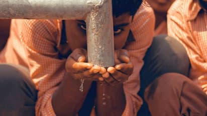 Water stress grips India: IMD data shows over 540 districts struggling