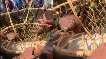 ആടിനെ രക്ഷിക്കാനിറങ്ങി അധ്യാപകന് കിണറ്റില് കുടുങ്ങി, ഇറങ്ങിയ സുഹൃത്തും പെട്ടു; ഒടുവില് രക്ഷയായി ഫയര്ഫോഴ്സ്