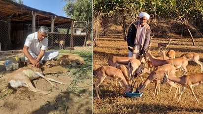 Inspiring journey of a puncture repair shop owner who has dedicated his life to the rescue of wild animals