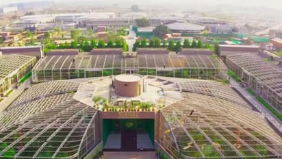 அம்பானியின் VANTARA.. 2000க்கும் மேற்பட்ட விலங்குகளுக்கு ஓர் சரணாலயம் - அரசின் அனுமதி உள்ளதா? வெளியான உண்மை!