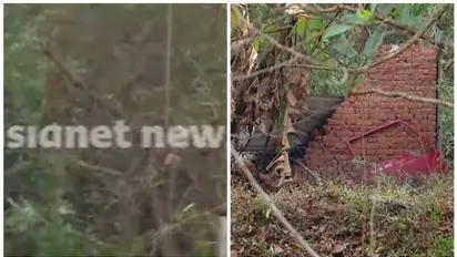 Kerala: Elephant runs amok in Palakkad; one injured, several houses damaged